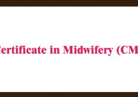 Diploma Extension in Nursing or Midwifery
