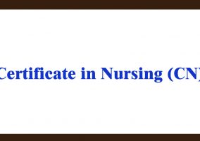 Diploma Extension in Nursing or Midwifery